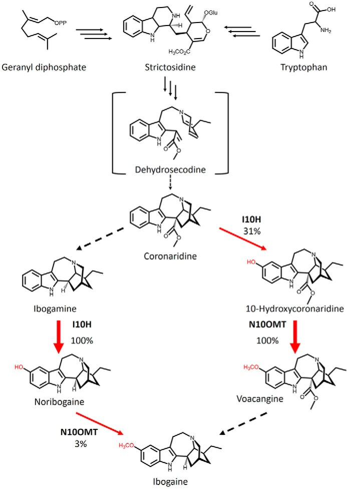 Figure 2.