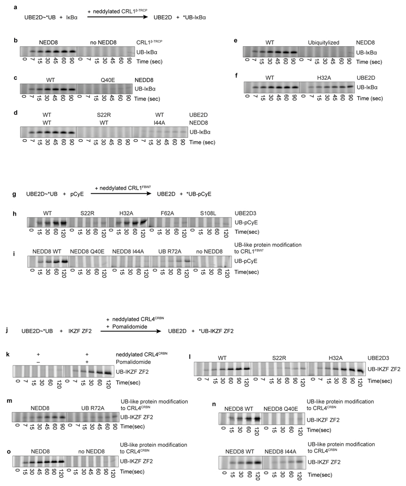 Extended Data Figure 8