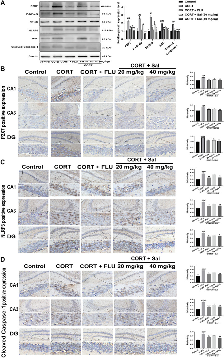 FIGURE 3