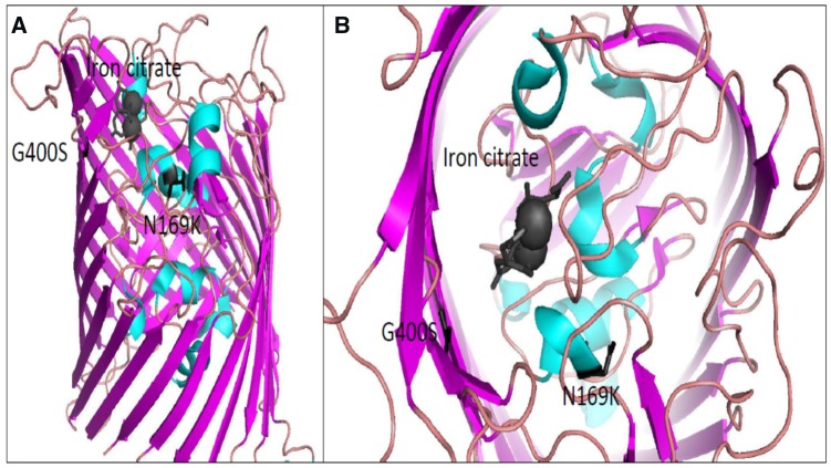 Figure 3.