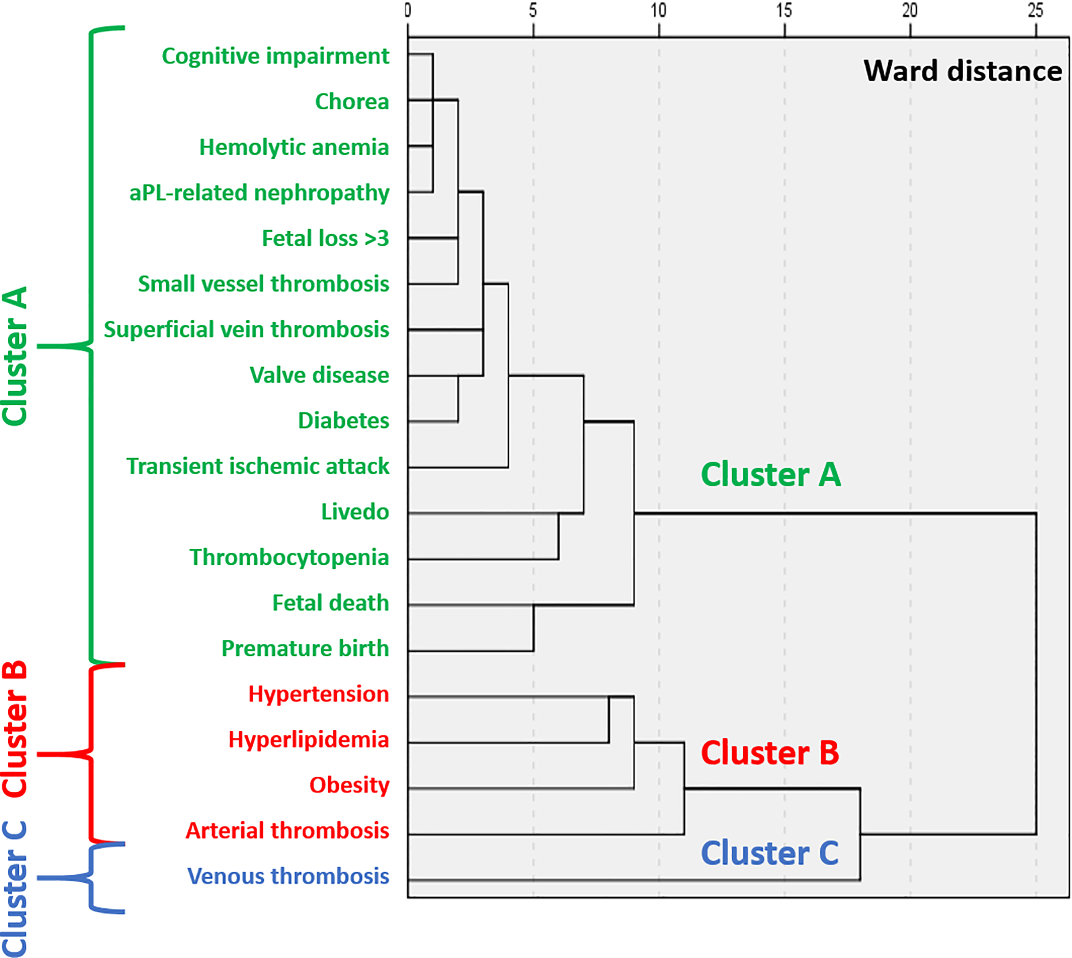 Figure 3: