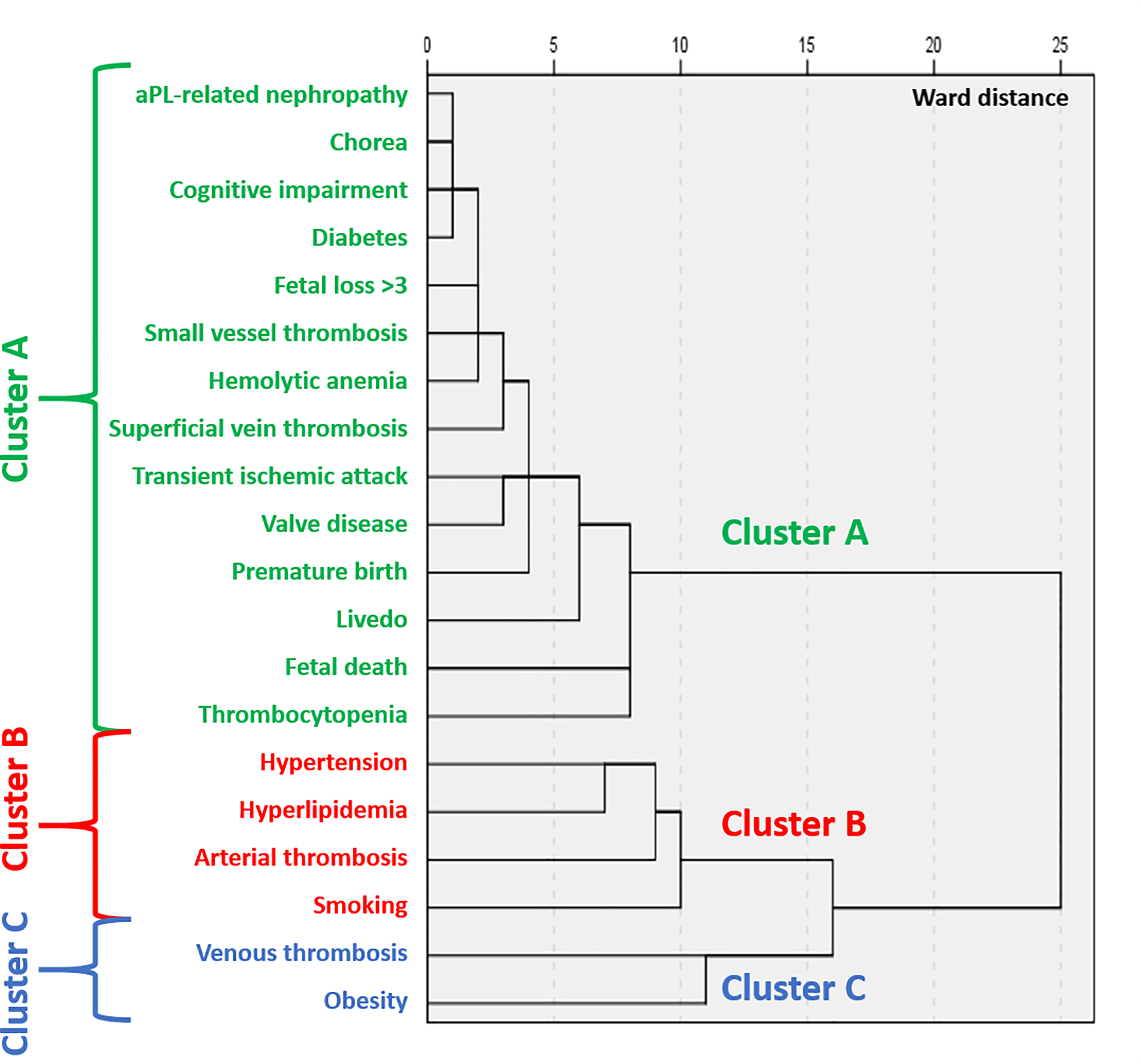 Figure 2: