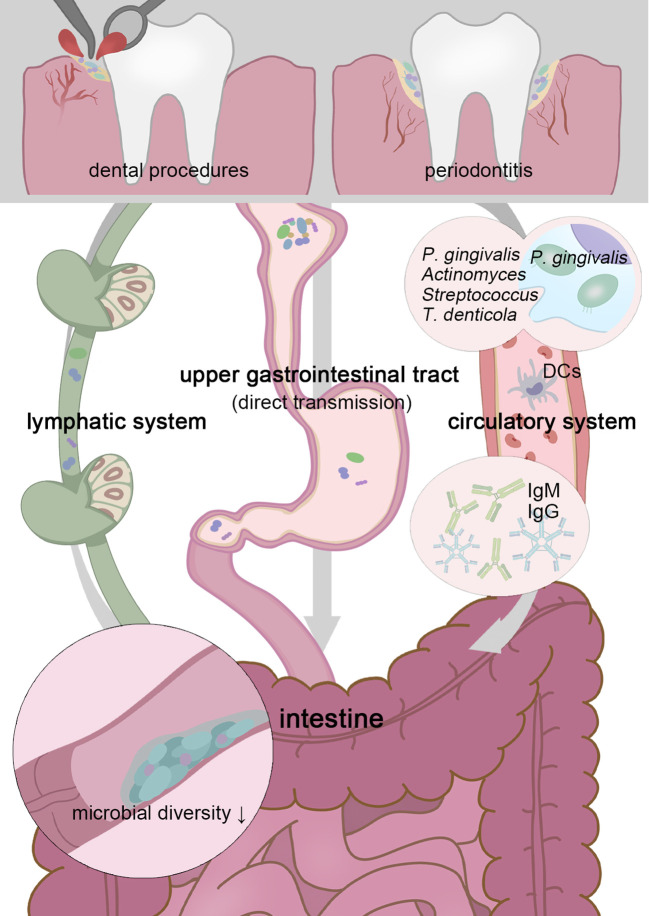 Figure 1