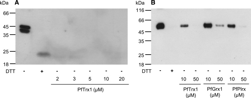 FIG. 7.