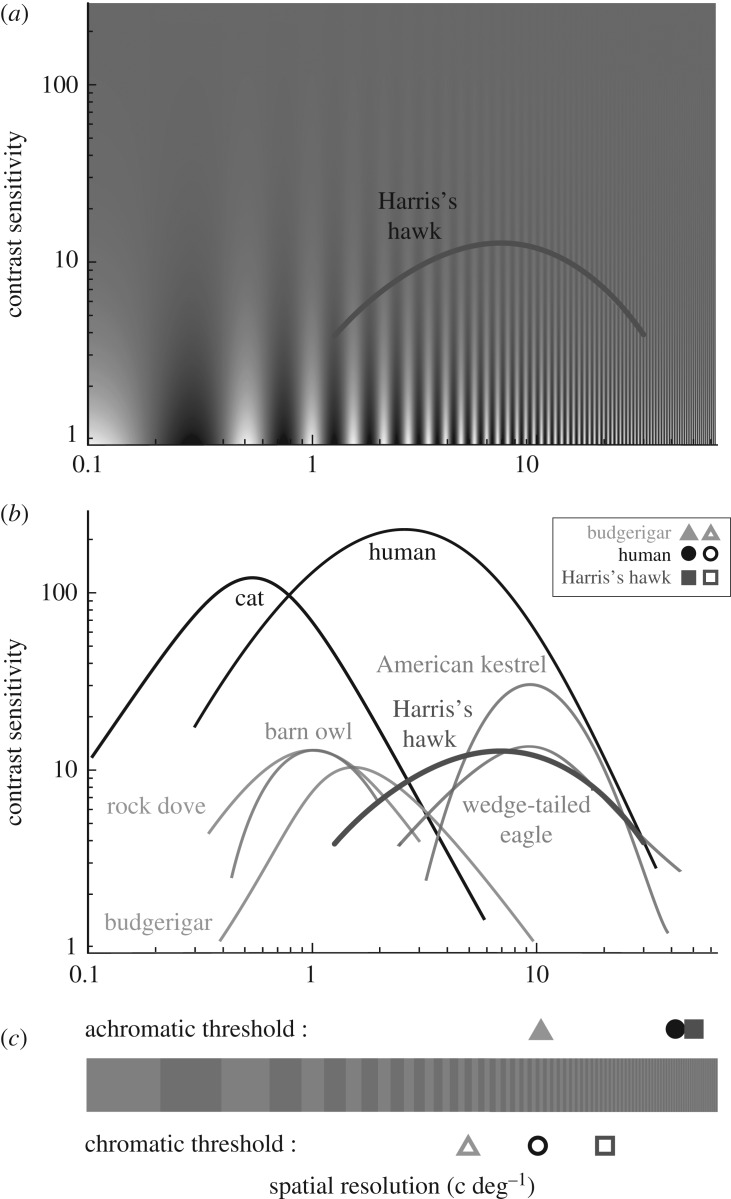 Figure 3.