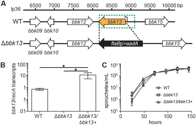 FIG 1