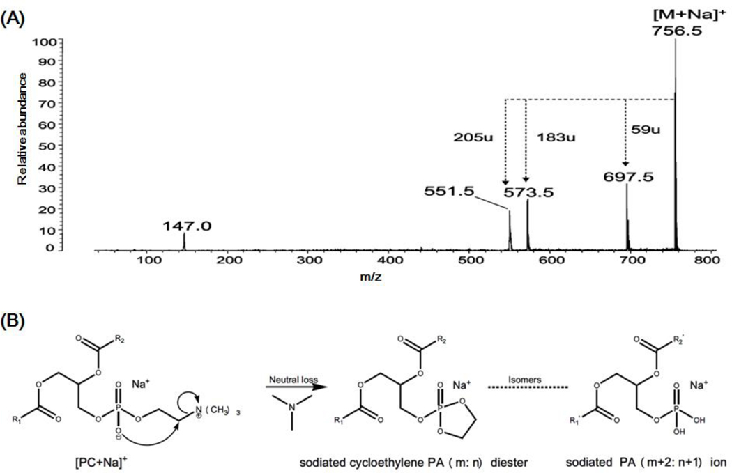 Figure 6.