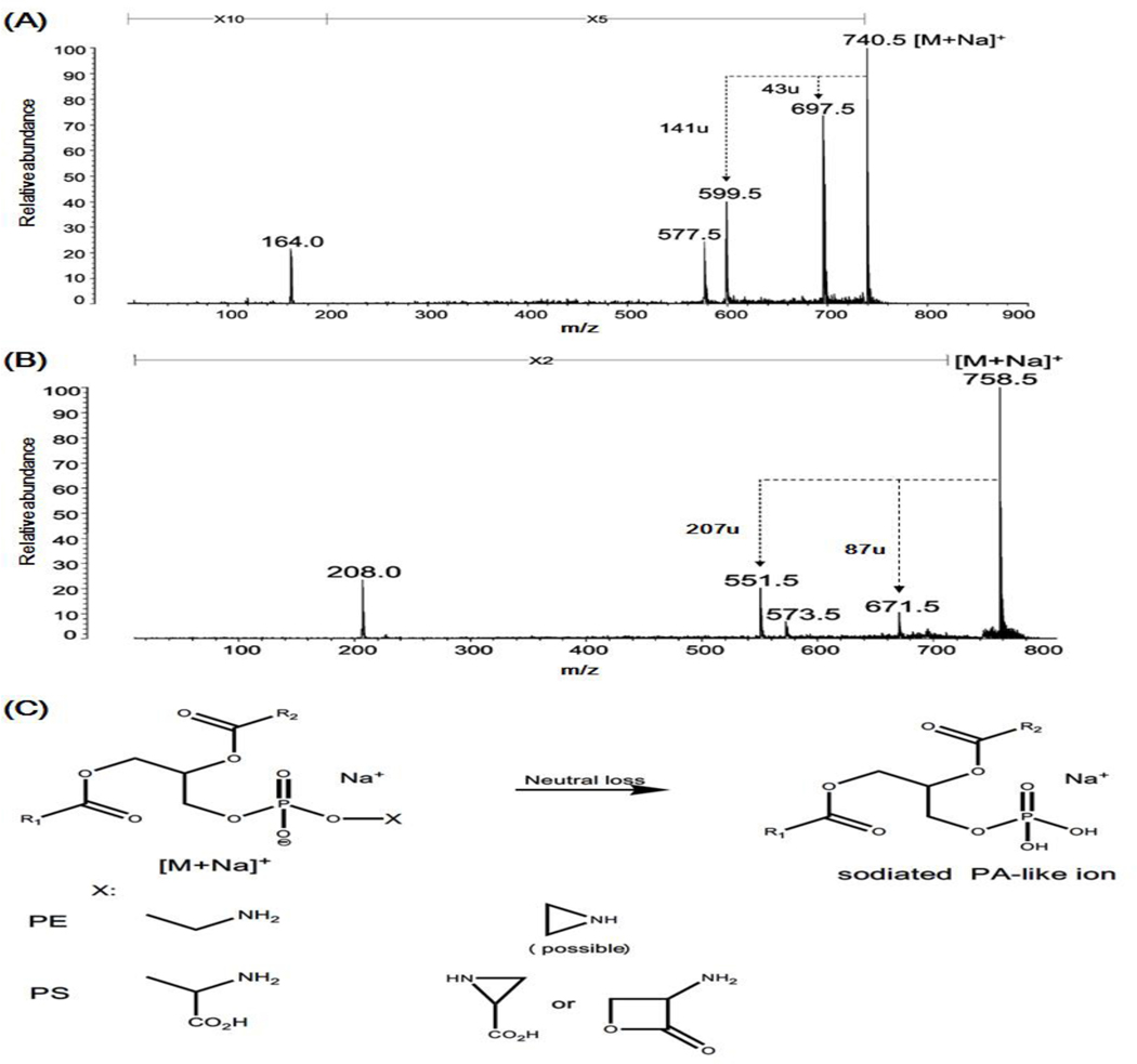 Figure 7.