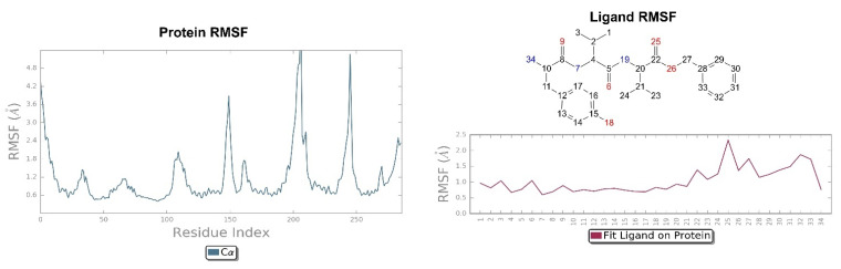 Figure 13