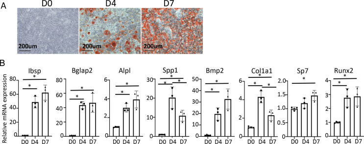 Figure 5—figure supplement 2.