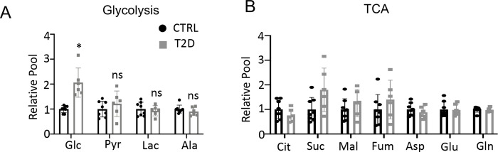 Figure 3—figure supplement 1.