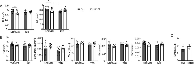 Figure 7—figure supplement 1.