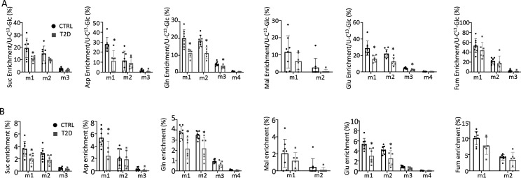 Figure 3—figure supplement 2.