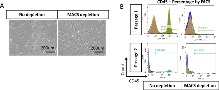 Figure 5—figure supplement 1.