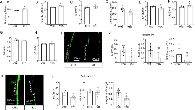 Figure 2—figure supplement 1.