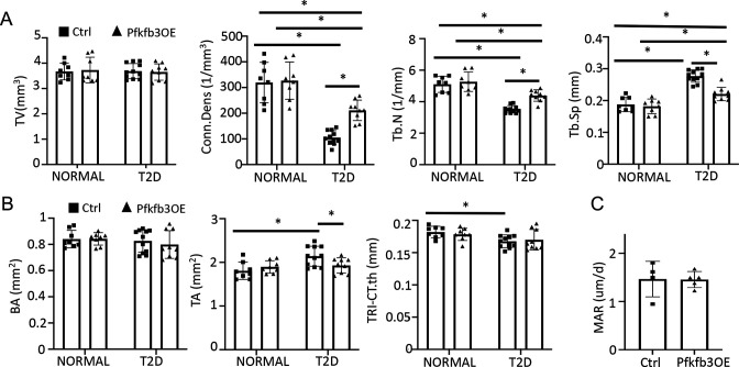 Figure 8—figure supplement 1.