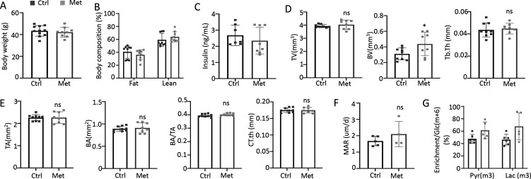 Figure 6—figure supplement 1.