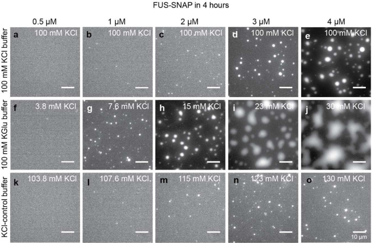 Extended Data Fig. 1: