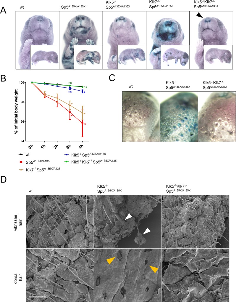 Fig 4