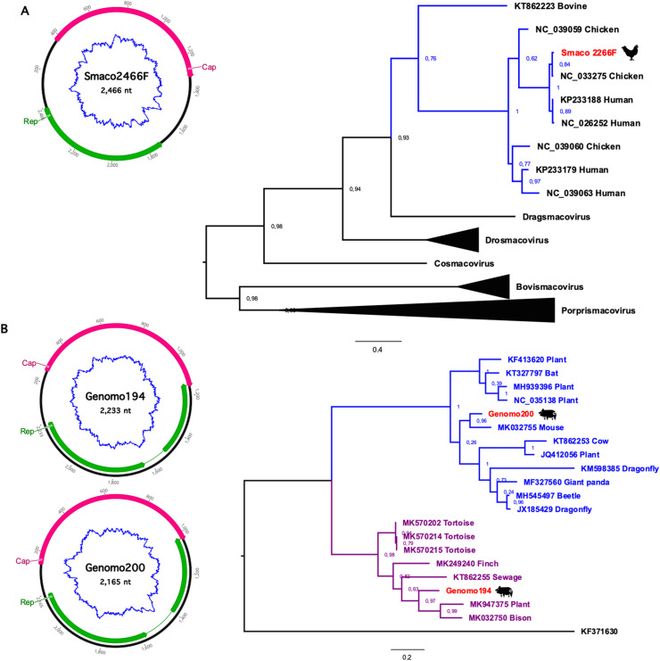 Fig. 2