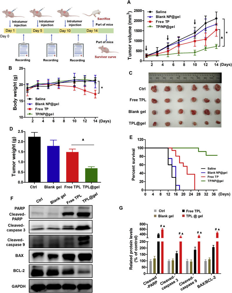 Figure 10