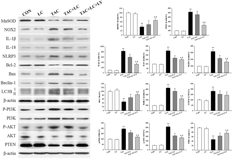 Fig. 11