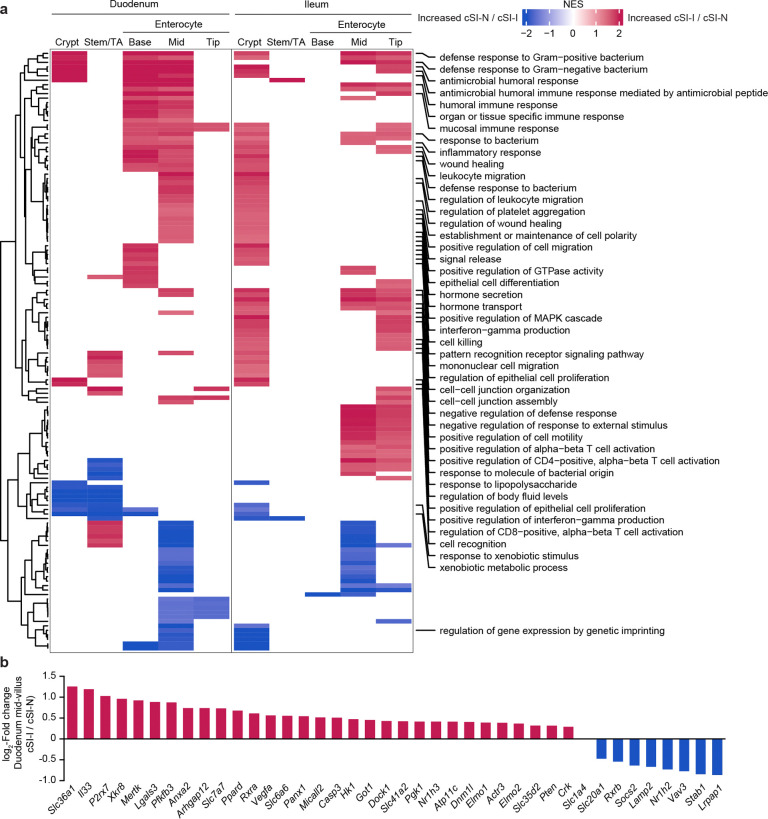 Extended Data Fig. 4.