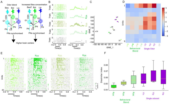 Composite image with four panels: A) Line plot showing spike times for LN (red) and PN (blue) over 5 seconds. B) Bar graphs comparing within-burst spikes, burst frequency, and mean surprise for different studies. C) t-SNE plot of joint spike-triggered average (STA) for extracted PN; multicolored dots represent different odorant conditions. C1) t-SNE plot of joint STA for extracted LN with similar data representation. D) t-SNE plot for PN only STA. D1) t-SNE plot for LN only STA. Legends indicate single odorant, non-behavioral blend, behavioral blend, and control conditions.