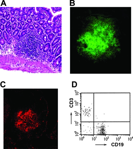 FIG. 1.