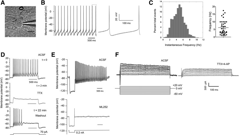 Figure 6.