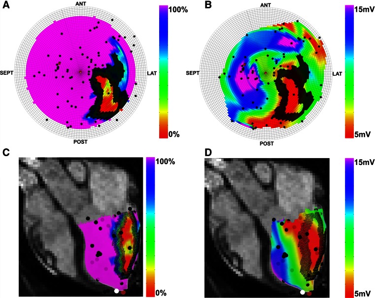 Fig. 2