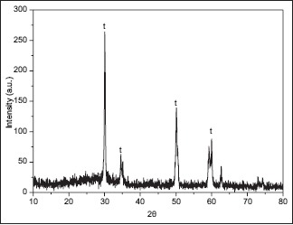 Graph 3