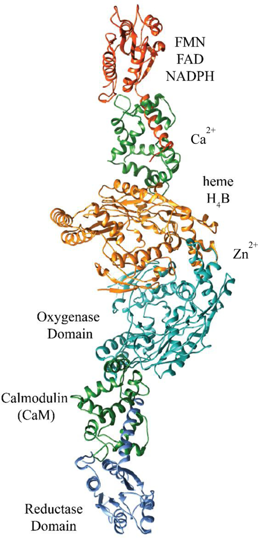 FIGURE 2