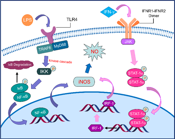 FIGURE 4