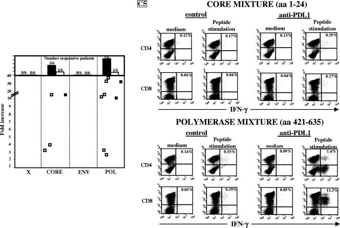 FIG. 6.