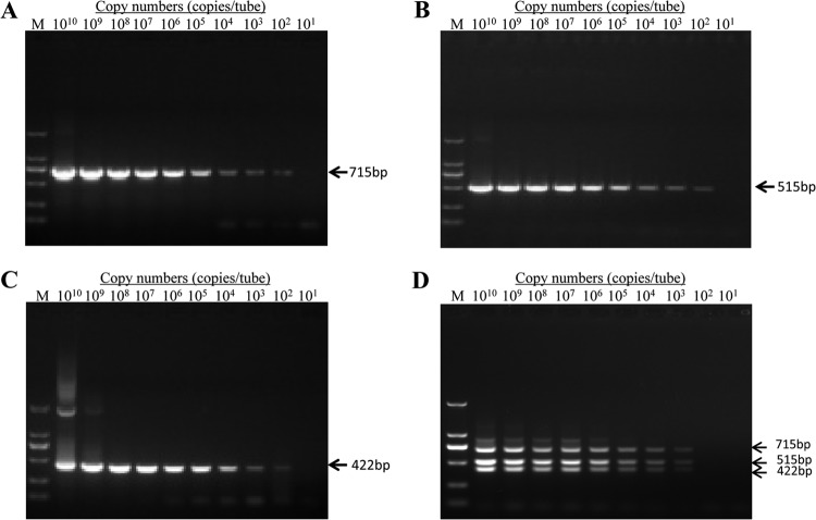 FIG 3