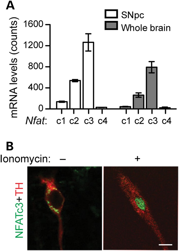 Figure 3.