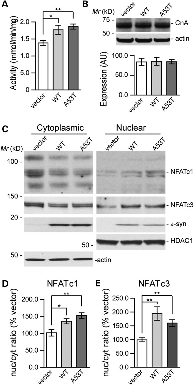 Figure 2.