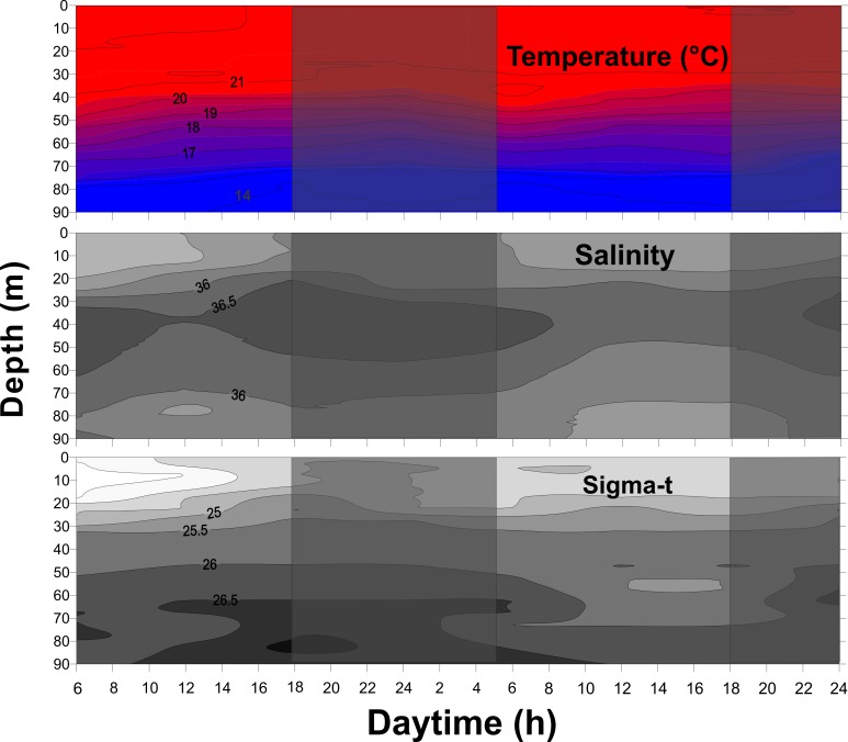 Fig 2