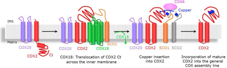 Figure 7.