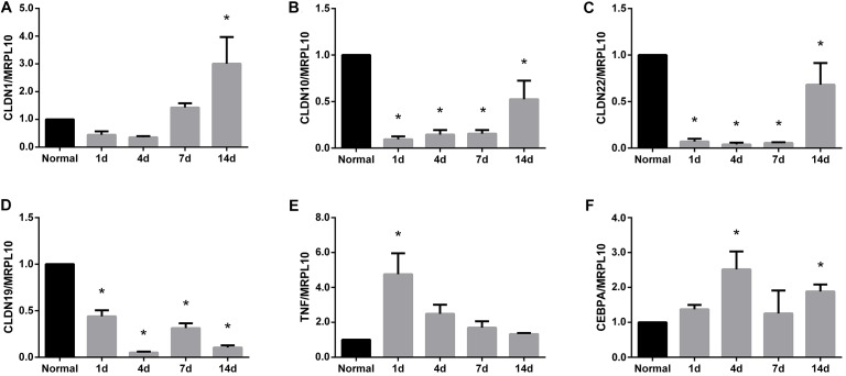 FIGURE 4