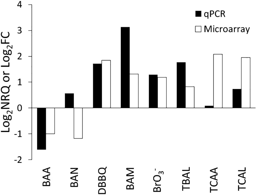 Figure 2 is a bar graph plotting log sub 2 NRQ or log sub 2 FC (y-axis) across BAA, BAN, DBBQ, BAM, Br O sub 3, TBAL, TCAA, and TCAL (x-axis) using qPCR and microarray analysis.