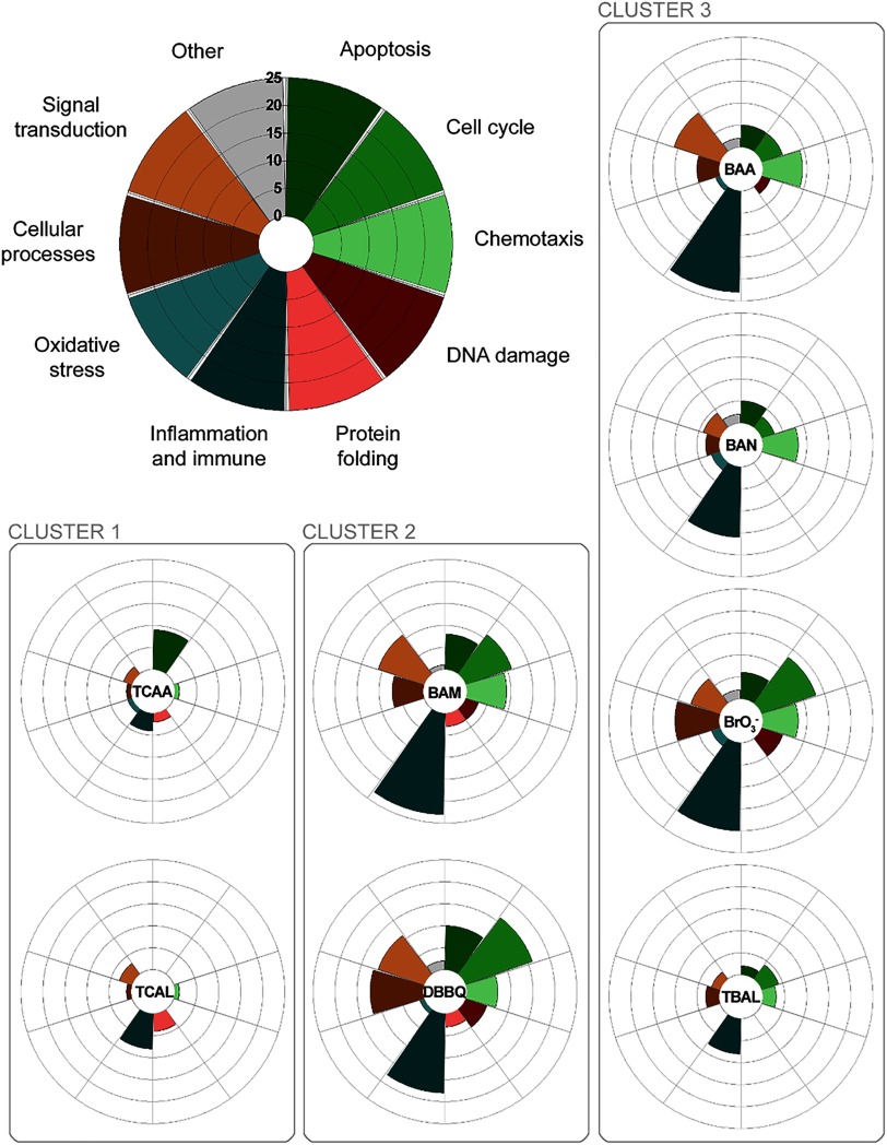 Figure 4 is a radar plot that shows ten functional categories, namely, apoptosis, cell cycle, chemotaxis, DNA damage, protein folding, inflammation and immune response, oxidative stress, cellular processes, signal transduction, and others, spread out in three clusters of DBPs.