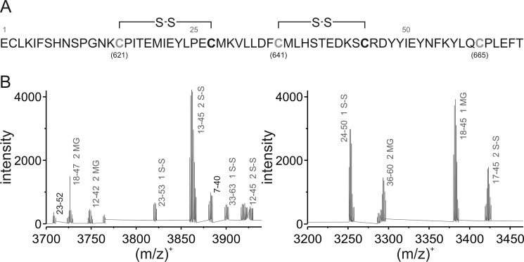 FIGURE 3.