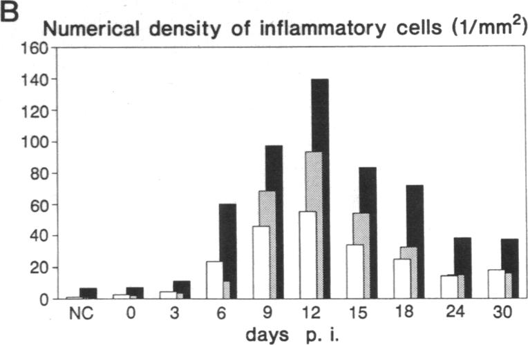 graphic file with name pnas01075-0333-d.jpg