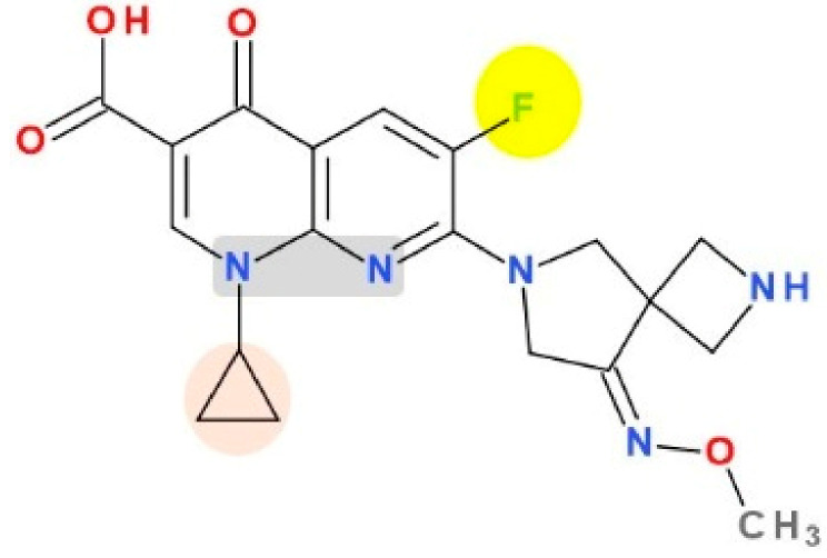 Figure 11