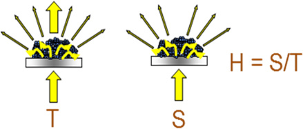 graphic file with name jove-72-50297-4.jpg
