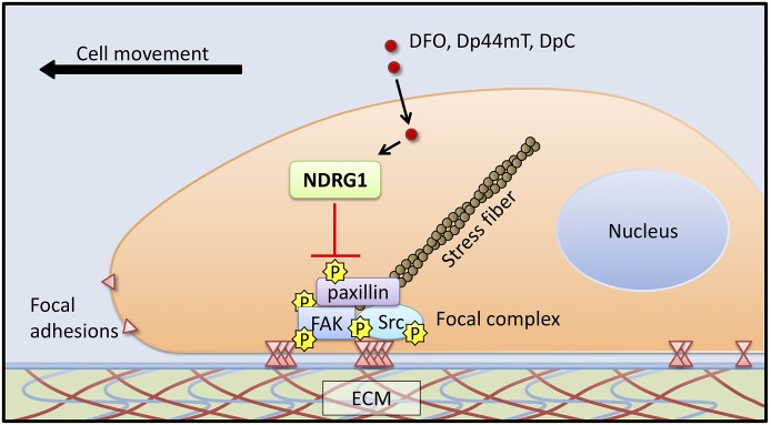 Fig. 11.