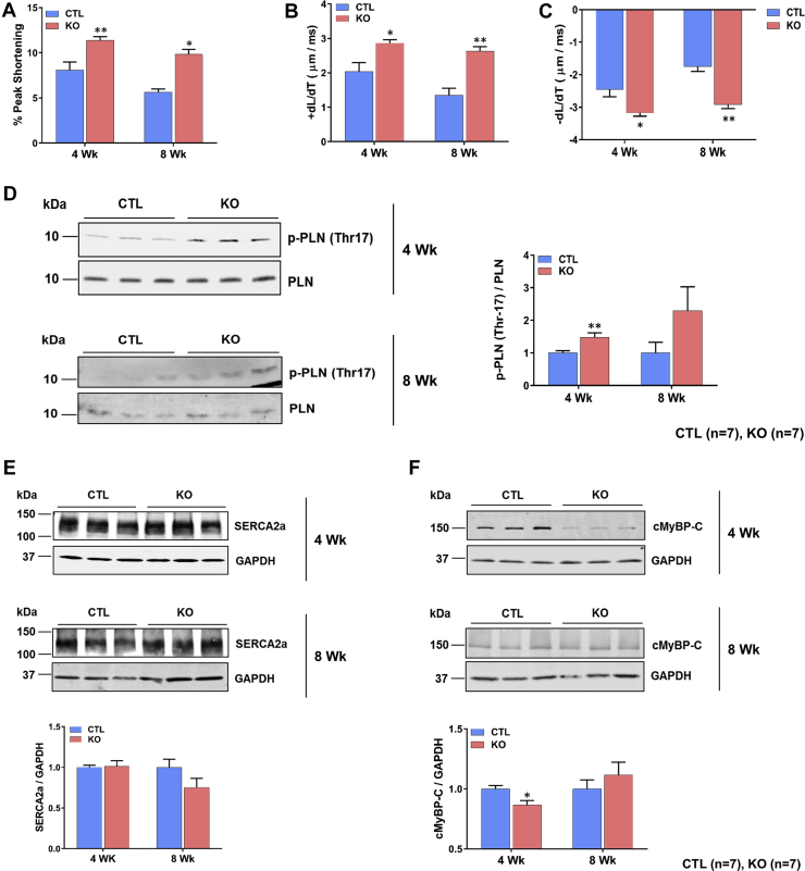 Figure 6