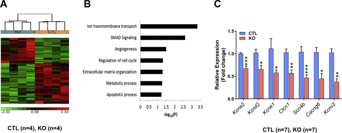 Figure 7